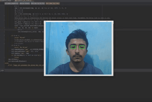 Project: Eyeblink