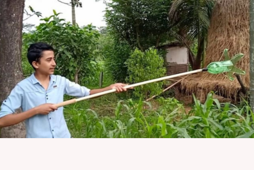 Mango Picker in Use